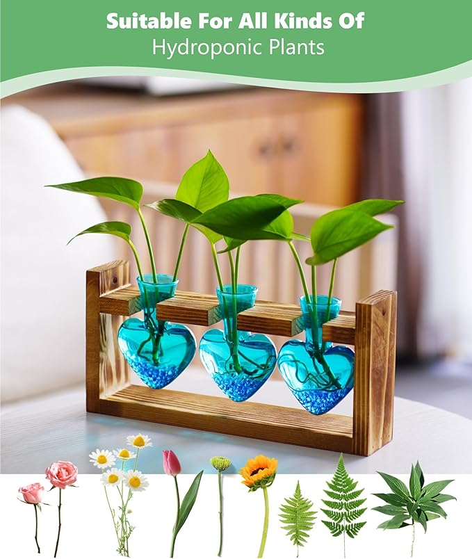 Plant propagation station on wooden stand with three blue heart-shaped glass vases