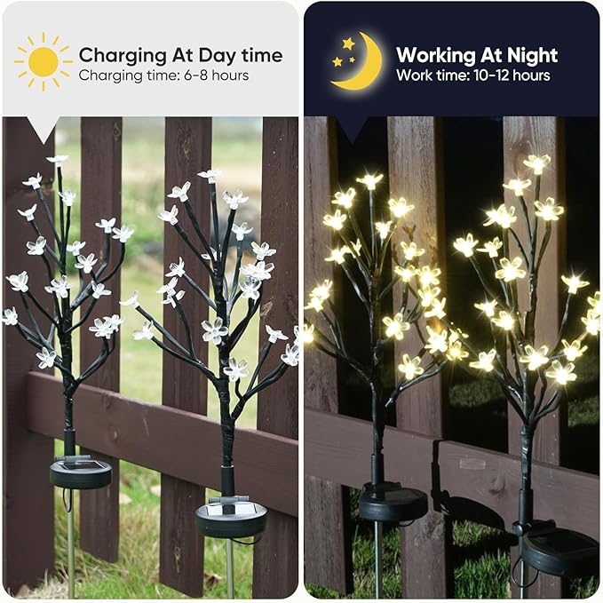 Solar flower lights on black stakes with white flower heads, day and night view