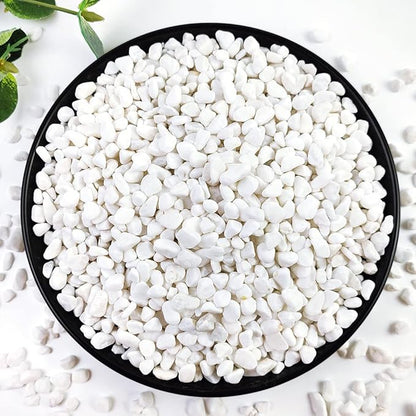White natural gravel pebbles in a black bowl, small white stones for pots