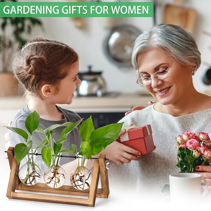 Brown wooden plant propagation station with three clear glass bulb vases and plants