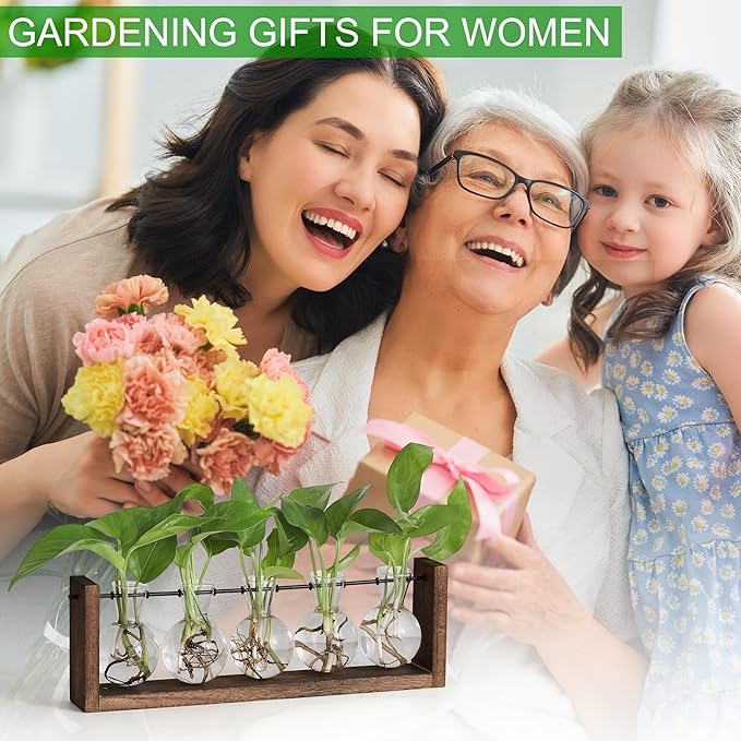 Plant propagation station with glass bulb vases and green seedlings on brown wooden frame