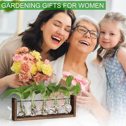 Plant propagation station with glass bulb vases and green seedlings on brown wooden frame