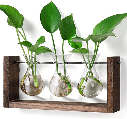 Plant propagation station with brown wood frame and three glass bulb vases