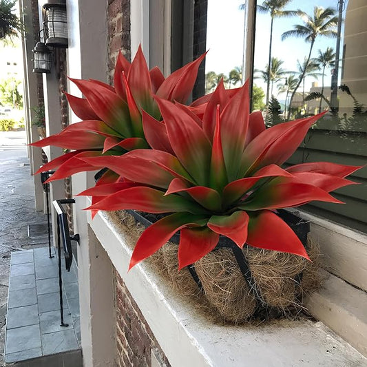 Wine-red faux agave plant in round planter pot with spiky leaves and green centers