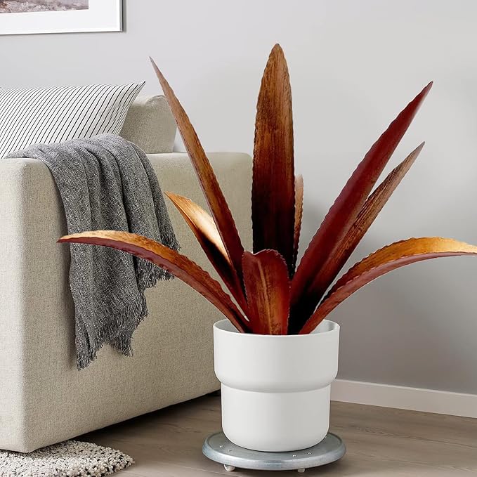 Metal Agave Garden Sculpture - 9-Leaf Rustic Botanical Indoor and Outdoor Decor