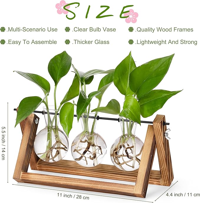 Brown wooden propagation stand holding three glass bulb vases with green plants