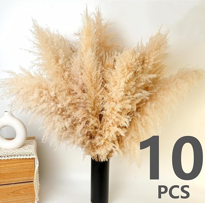 Tan dried pampas grass plumes in a black vase for indoor decor.