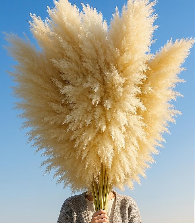 Fluffy tan pampas grass plume bundle in a hand.