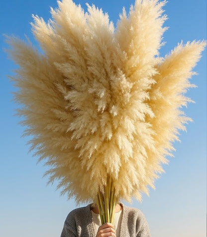 Fluffy tan pampas grass plume bundle in a hand.