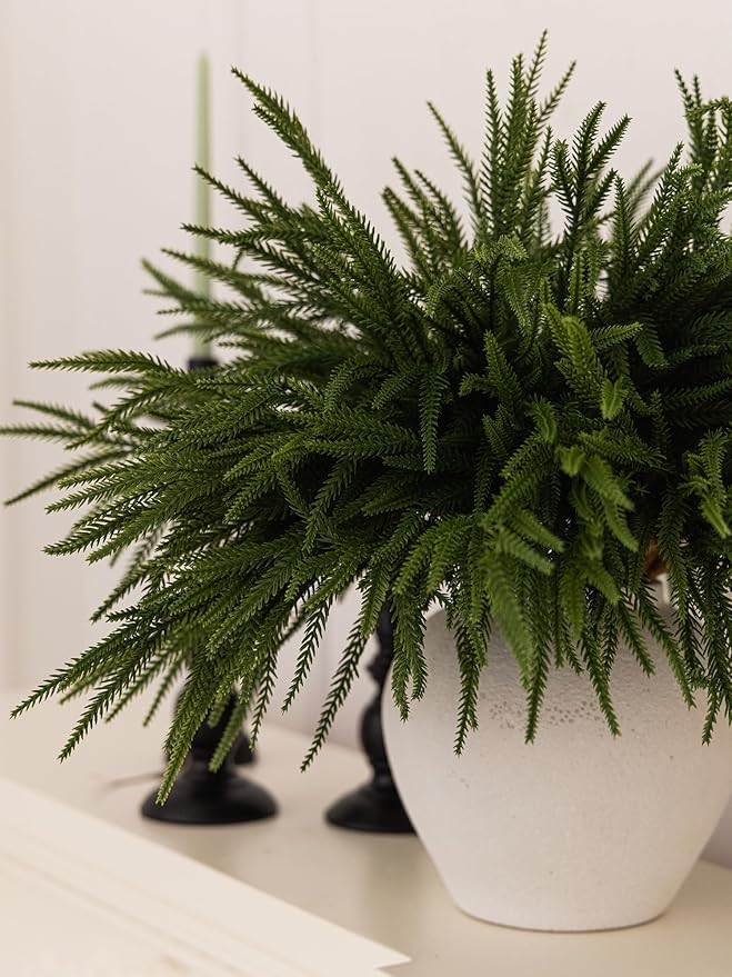 Artificial green Norfolk pine branch close-up with dense needles in a white pot