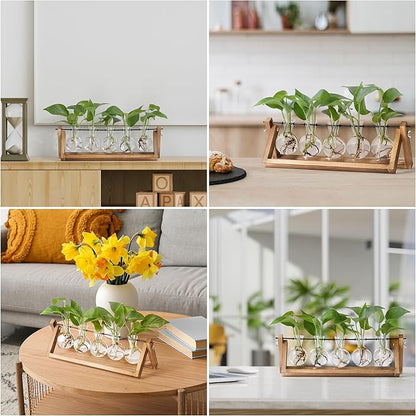 Four-angle view of wooden plant propagation stand with five clear bulb vases and green plants