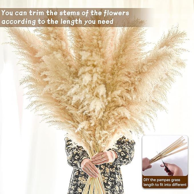 Beige pampas grass stems bundled together with long stalks for DIY arranging