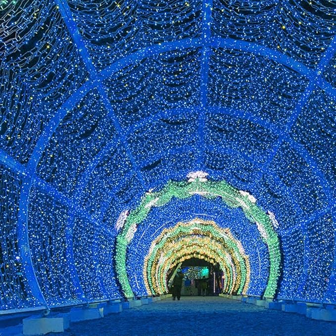 Blue LED mini string lights tunnel with arched canopy hallway