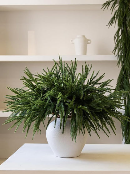 Artificial Norfolk pine branches arranged in a white vase