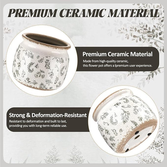 Small round ceramic planter in white with green wildflower sketch, brownish crackle rim