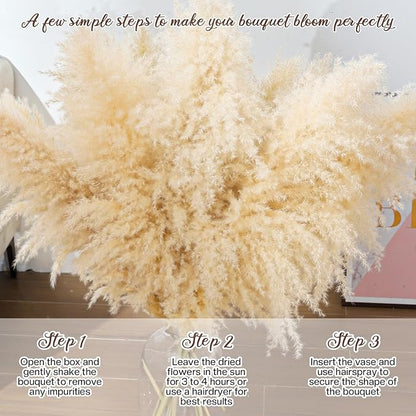 Natural beige dried pampas grass stems bouquet spread on floor, feathery plumes
