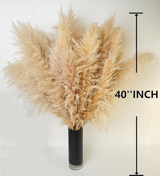 Tan dried pampas grass plumes in a black vase, 40-inch tall.