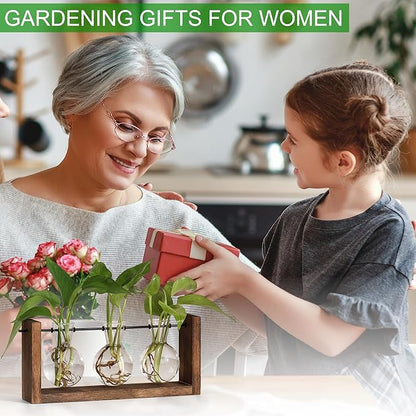 Wooden 3-bulb glass plant propagation station with three clear round bulb vases