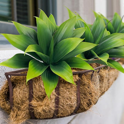 Green faux agave plant in woven coir basket planter, spiky leaves