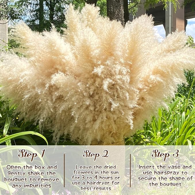 Large dried beige pampas grass plume cluster for home floor vase decor