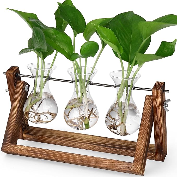 3 clear glass bulb vases with green stems on a brown wood and metal propagation stand