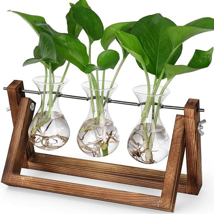 3 clear glass bulb vases with green stems on a brown wood and metal propagation stand