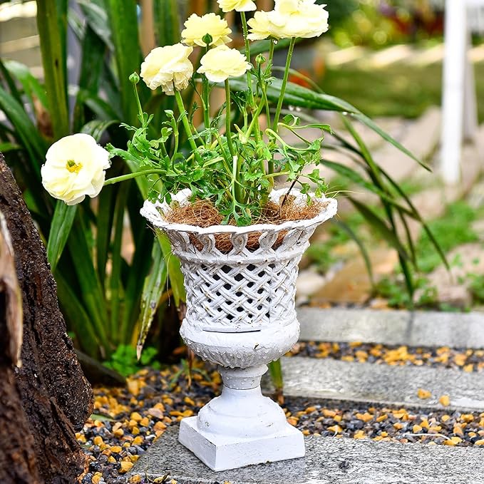 Antique white openwork urn planter with pedestal base, filled with yellow flowers