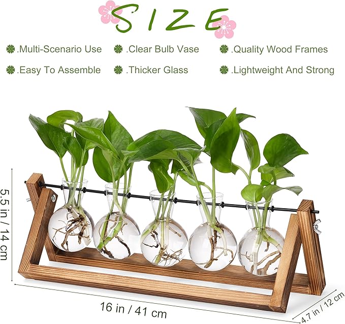 5-bulb propagation station with clear glass bulbs on a brown wooden stand and green plants