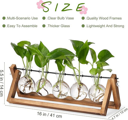 5-bulb propagation station with clear glass bulbs on a brown wooden stand and green plants