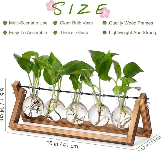 5-bulb propagation station with clear glass bulbs on a brown wooden stand and green plants