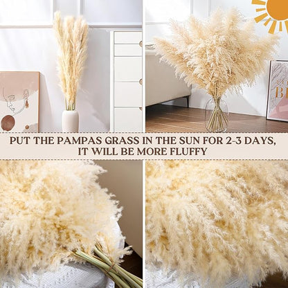 Natural beige dried pampas grass stems in white vase, fluffy feathery plumes