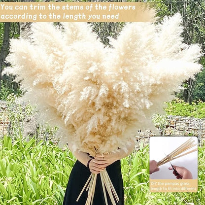 Natural beige dried pampas grass stems bundle being held by hands, fluffy plumes
