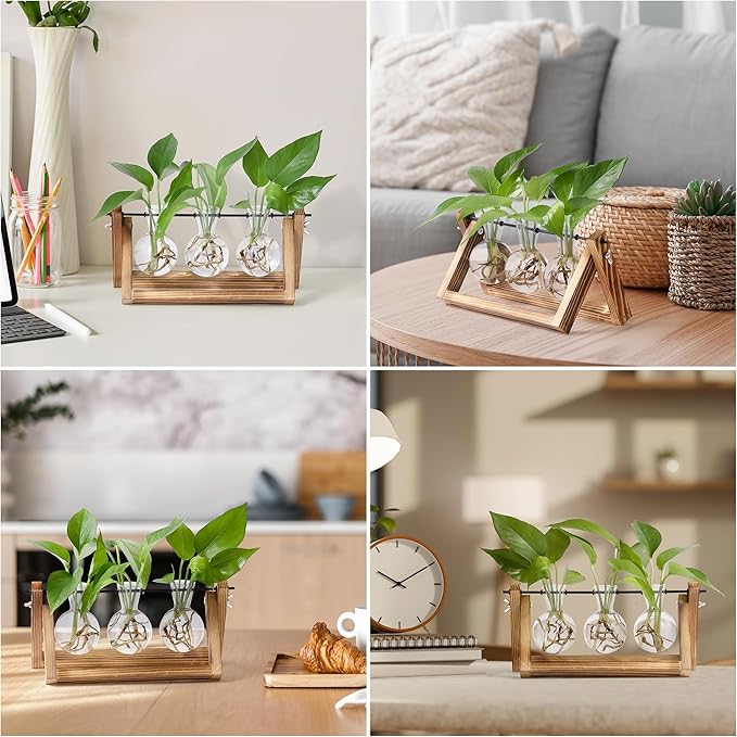Wooden plant propagation station with three clear bulb vases and green seedlings