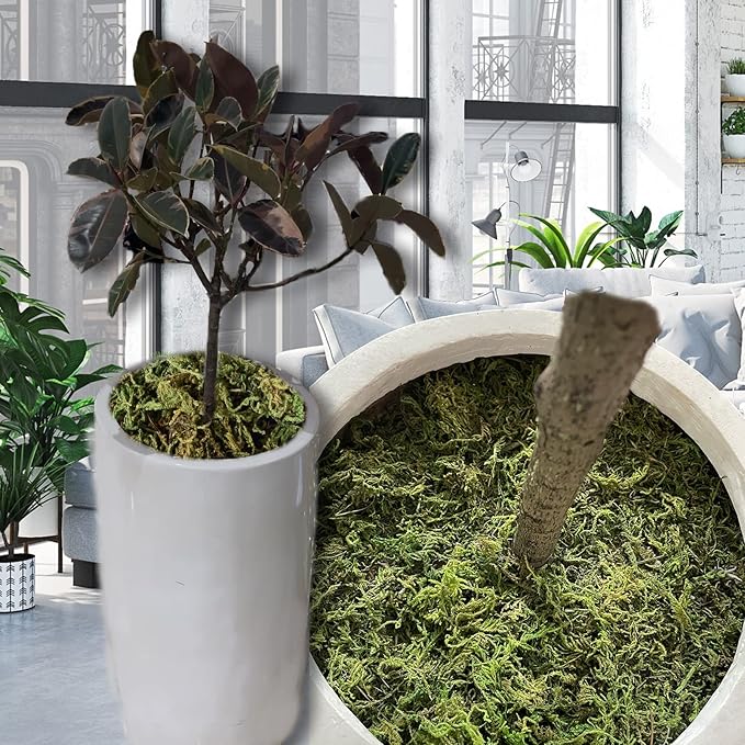 Light green faux moss-covered planter ball topiary with white pot and faux branches