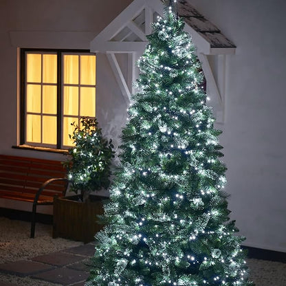 Outdoor Christmas LED string lights on tree with cool white bulbs on green wire