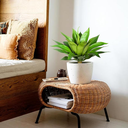 Green faux agave plant in white pot for indoor decor