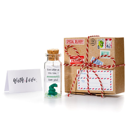 Message bottle gift set with 'With love' card, corked glass bottle, wrapped box