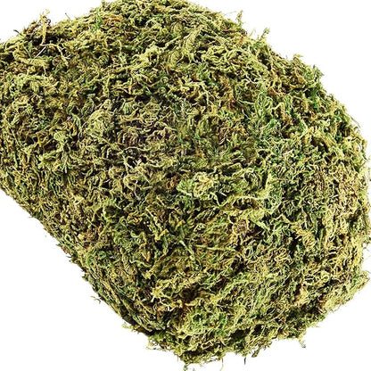 Light green faux moss filler, dense curly texture for planters and crafts