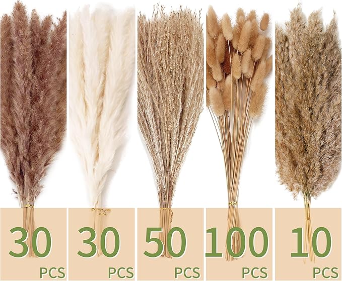 Assorted pampas grass bundles in white and brown, with 30, 50, 100, 10 pcs labels