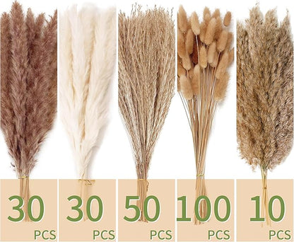 Assorted pampas grass bundles in white and brown, with 30, 50, 100, 10 pcs labels