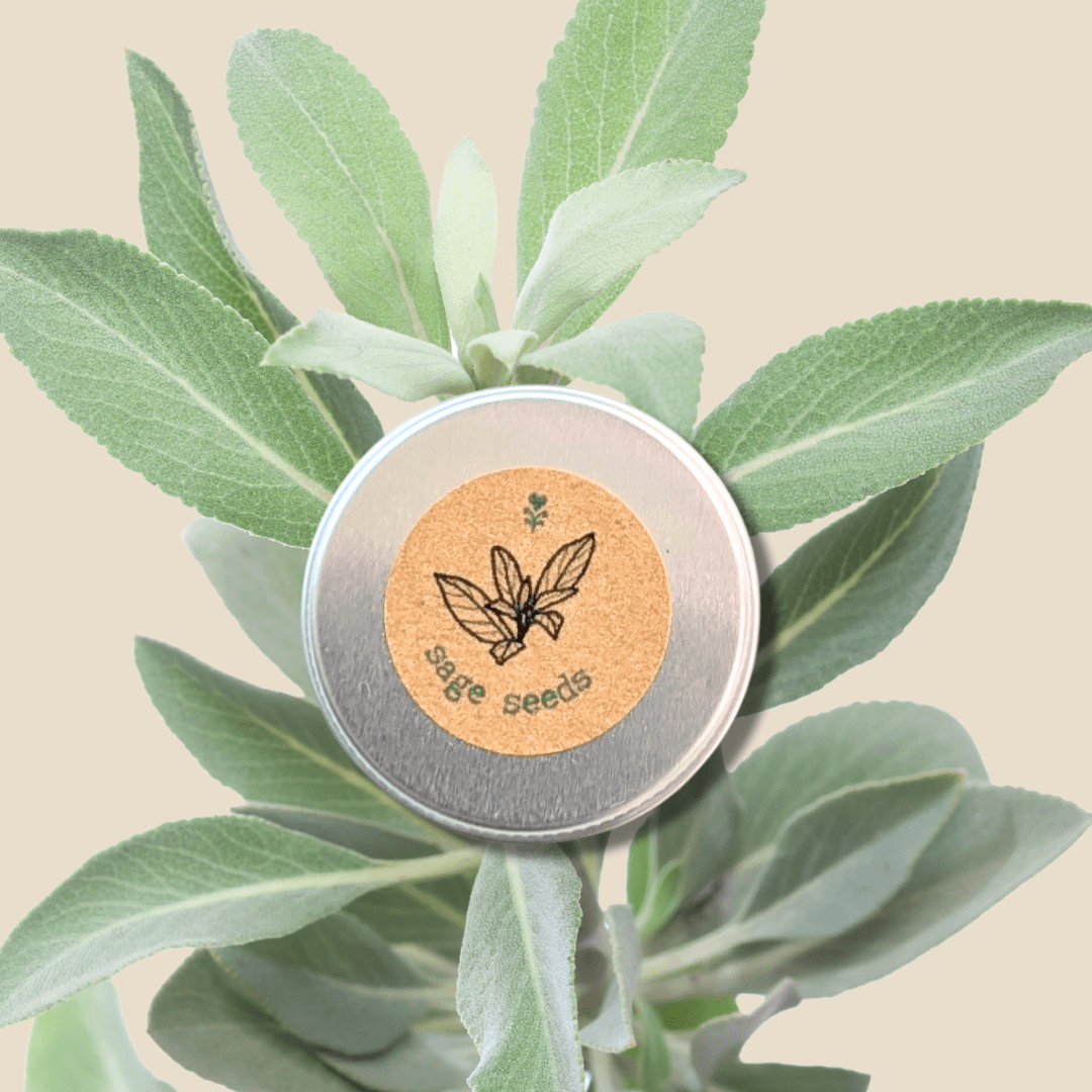 Sage seed tin with cork label and 'bee seeds' logo, with sage leaves around