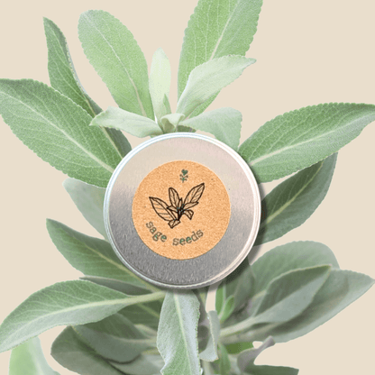 Sage seed tin with cork label and 'bee seeds' logo, with sage leaves around