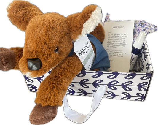 Xander Fawn- Freckles Gift Set with Clothing and More!