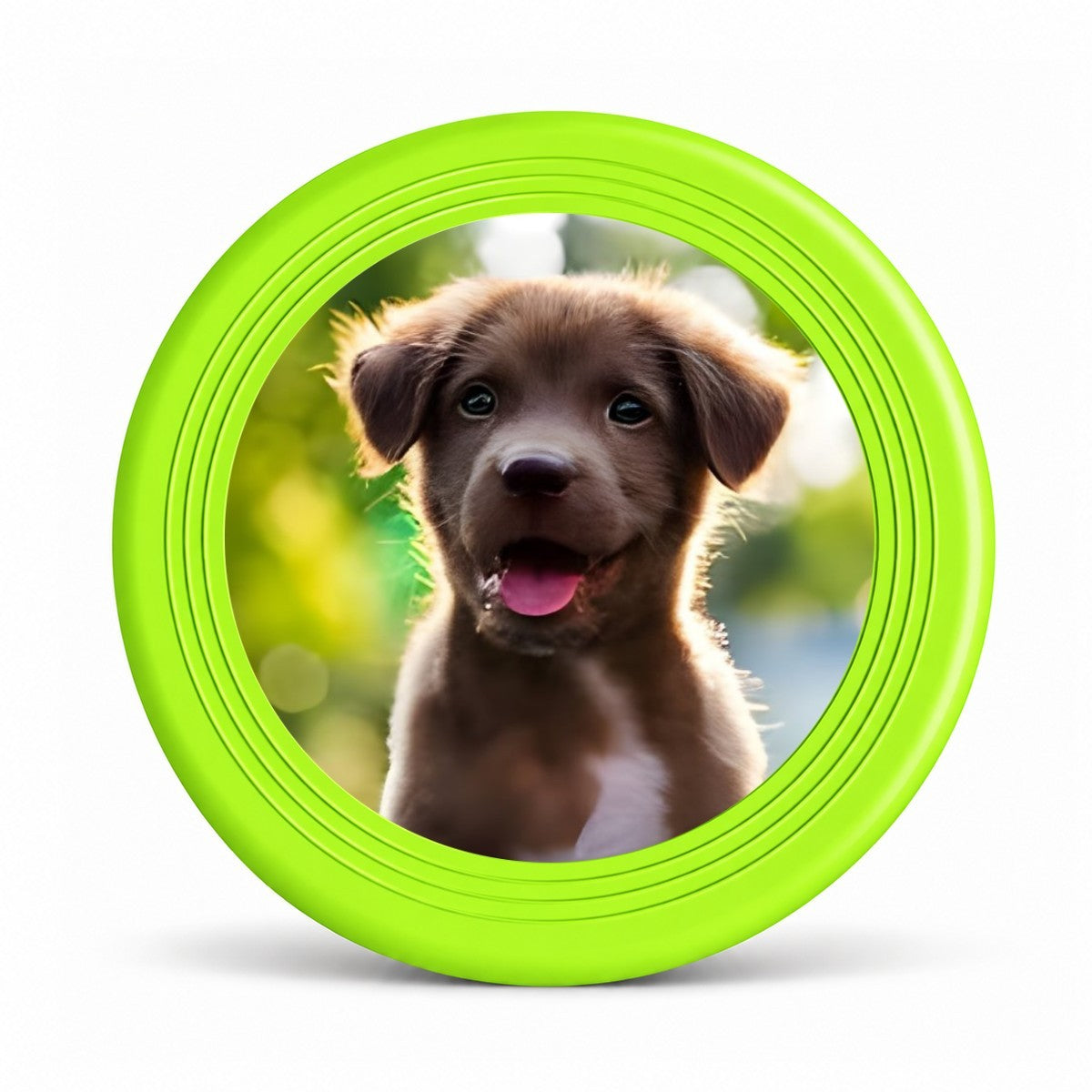 Green pet flying disc with a puppy photo in the center