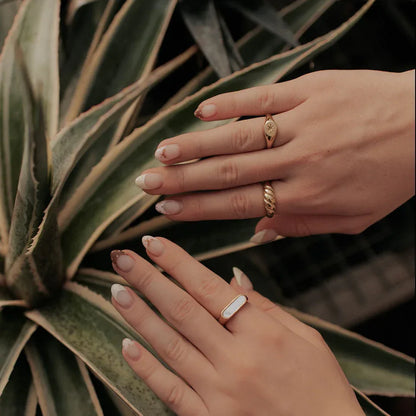 DSC_1916-2 - Dream Dragons