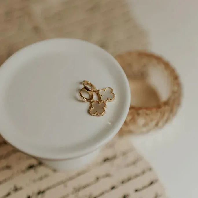 DSC_2855_4e1ce39c-ff43-4b68-9e06-b9d5de704bb0 - Dream Dragons