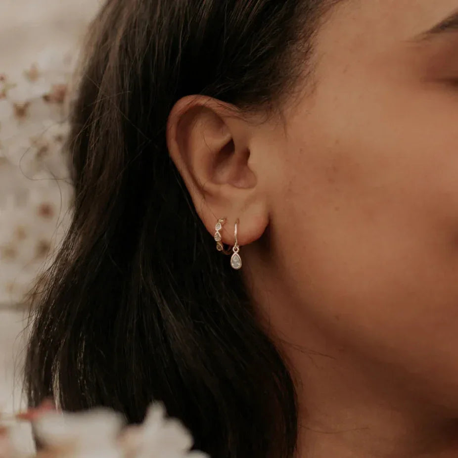 DSC_2913_ec4d32f3-4eb9-4741-9de1-c799ec1bef5b - Dream Dragons