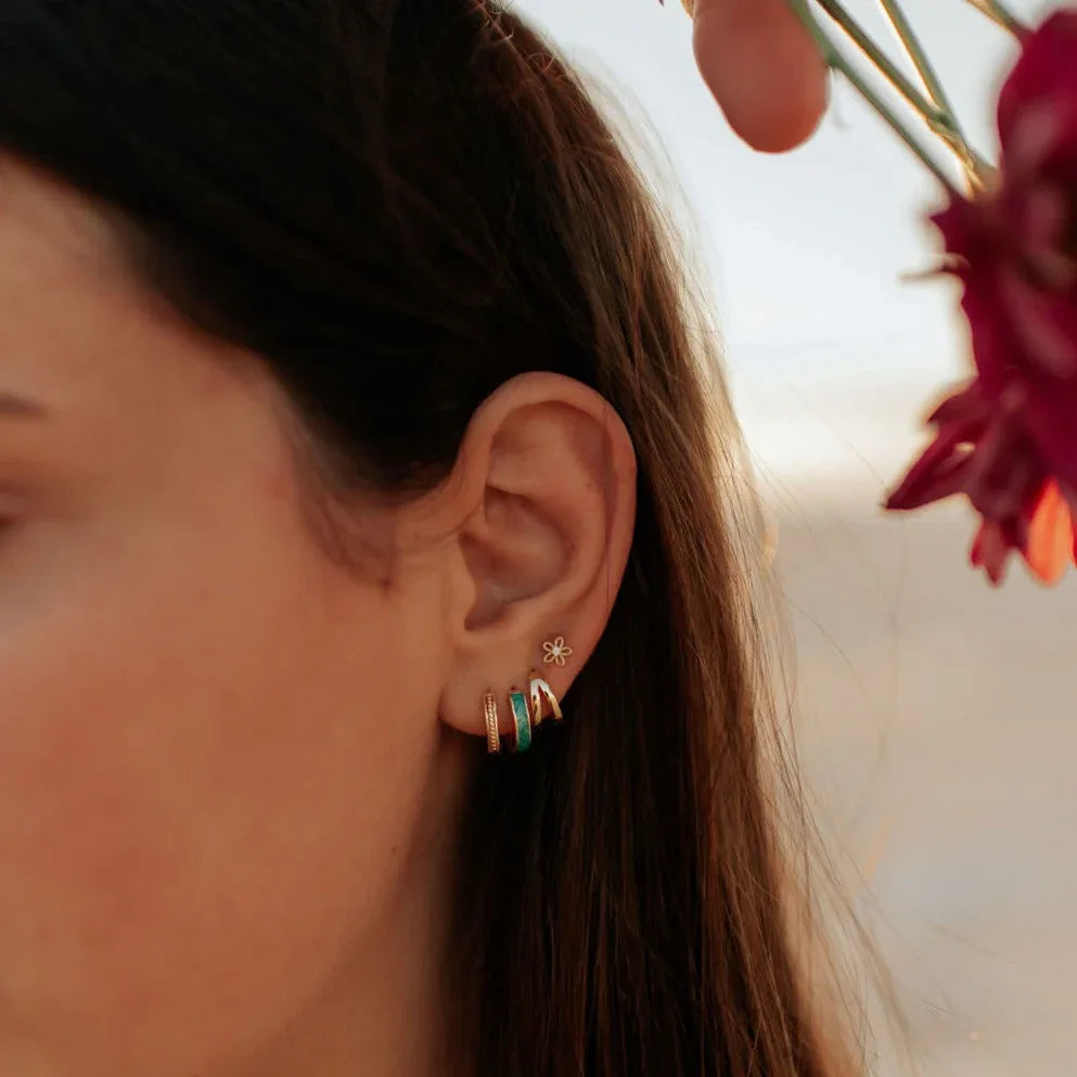 DSC_4239_f8fcbe71-ed36-4b01-86cd-f0b2d74b18bd - Dream Dragons