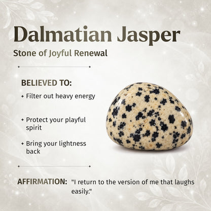 Dalmatian Jasper Pendant Necklace – My World Has Color Again