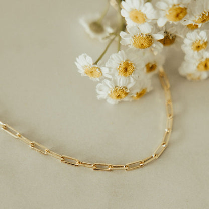 Gold-filled paperclip necklace with elongated rectangular links.